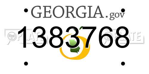 1383768 Georgia License Plate