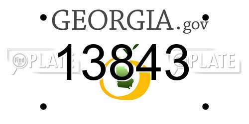13843 Georgia License Plate