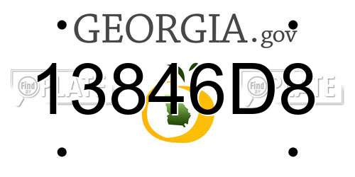 13846D8 Georgia License Plate