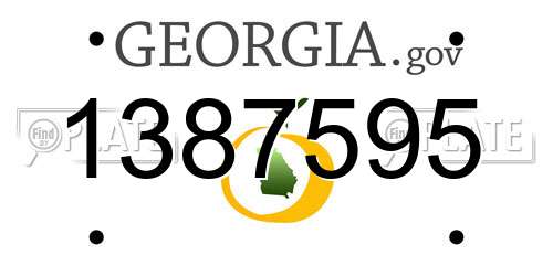 1387595 Georgia License Plate