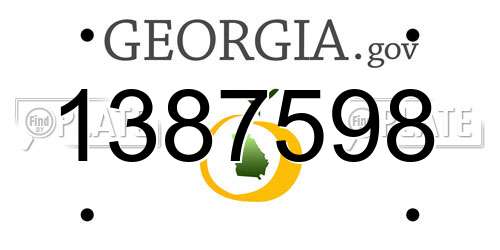 1387598 Georgia License Plate