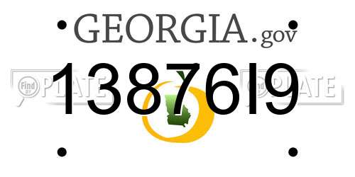 13876I9 Georgia License Plate
