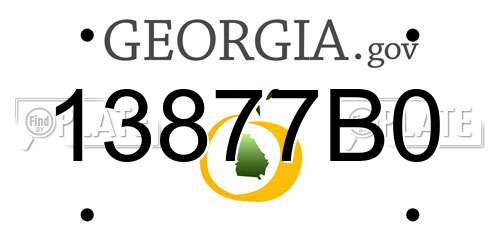 13877B0 Georgia License Plate