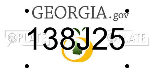 138J25 Georgia License Plate