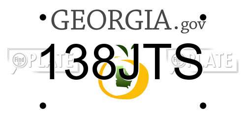 138JTS Georgia License Plate