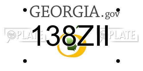 138ZII Georgia License Plate