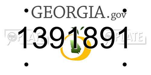 1391891 Georgia License Plate