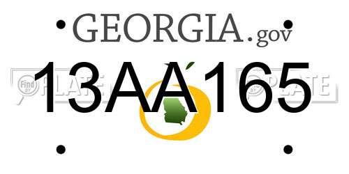 13AA165 Georgia License Plate