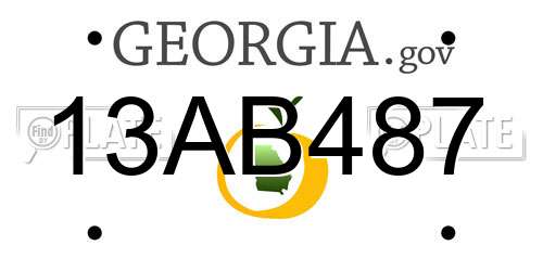 13AB487 Georgia License Plate