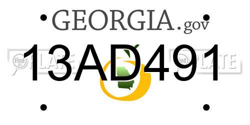 13AD491 Georgia License Plate