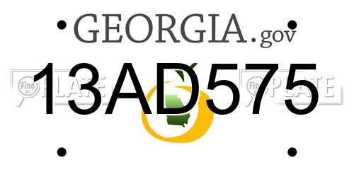 13AD575 Georgia License Plate
