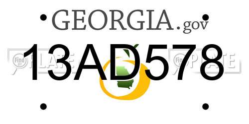 13AD578 Georgia License Plate