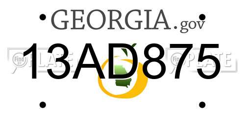 13AD875 Georgia License Plate