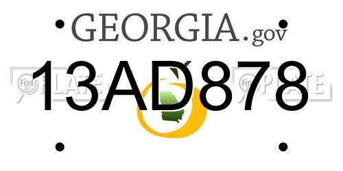 13AD878 Georgia License Plate