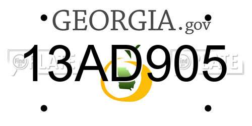 13AD905 Georgia License Plate