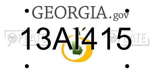 13AI415 Georgia License Plate