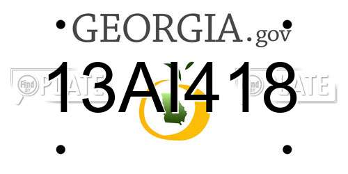 13AI418 Georgia License Plate