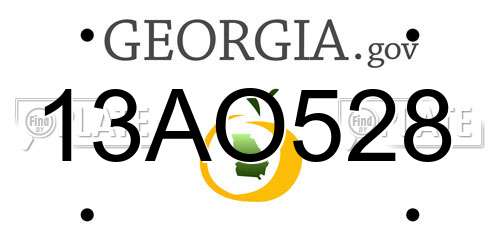 13AO528 Georgia License Plate