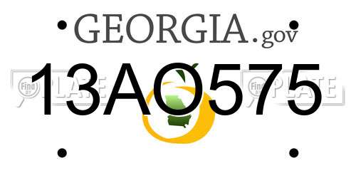 13AO575 Georgia License Plate