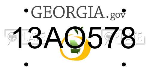 13AO578 Georgia License Plate