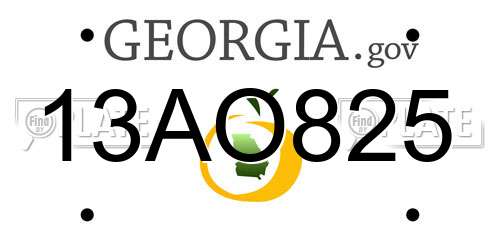 13AO825 Georgia License Plate