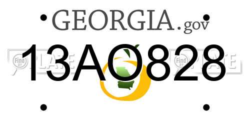 13AO828 Georgia License Plate