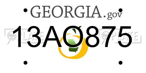 13AO875 Georgia License Plate