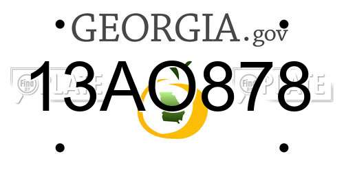 13AO878 Georgia License Plate