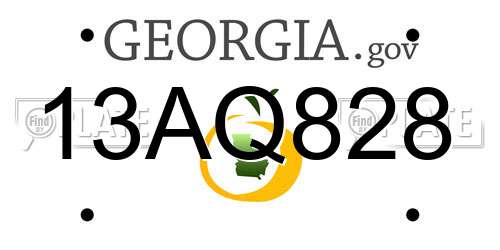 13AQ828 Georgia License Plate