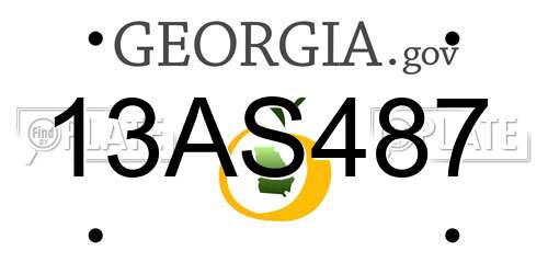 13AS487 Georgia License Plate
