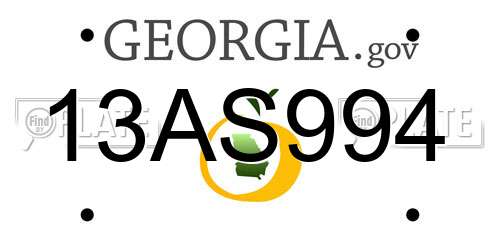 13AS994 Georgia License Plate