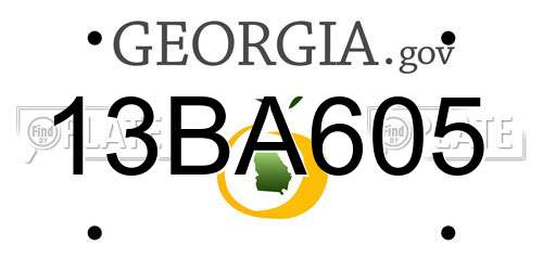 13BA605 Georgia License Plate