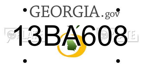 13BA608 Georgia License Plate