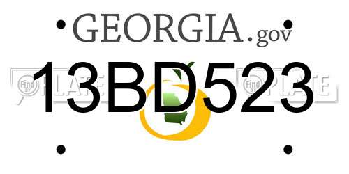 13BD523 Georgia License Plate