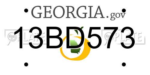 13BD573 Georgia License Plate