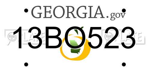 13BO523 Georgia License Plate
