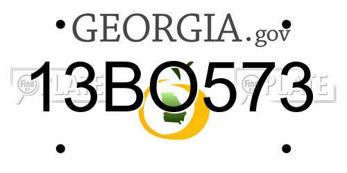 13BO573 Georgia License Plate