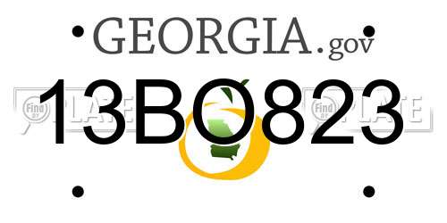 13BO823 Georgia License Plate