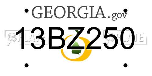 13BZ250 Georgia License Plate