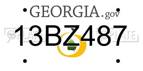 13BZ487 Georgia License Plate