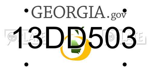 13DD503 Georgia License Plate