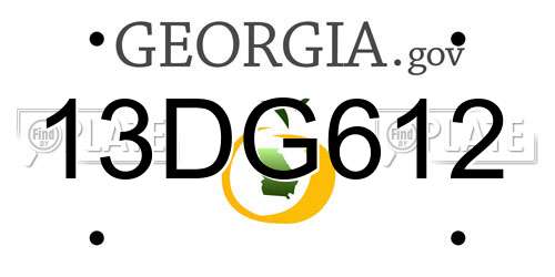 13DG612 Georgia License Plate