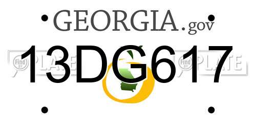 13DG617 Georgia License Plate