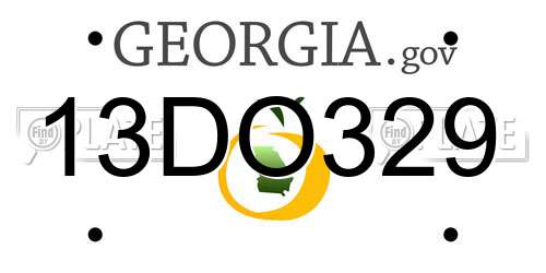 13DO329 Georgia License Plate
