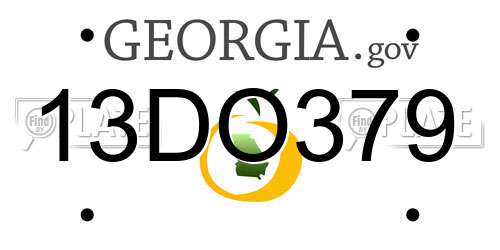 13DO379 Georgia License Plate