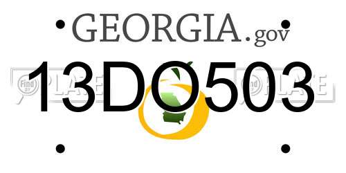 13DO503 Georgia License Plate