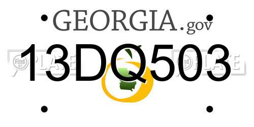 13DQ503 Georgia License Plate