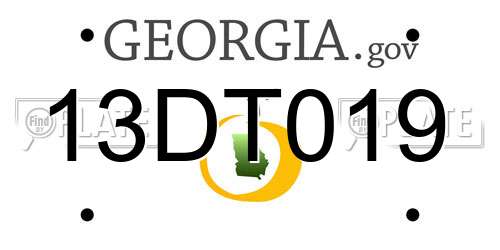 13DT019 Georgia License Plate