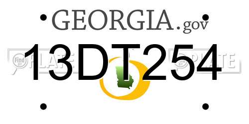13DT254 Georgia License Plate