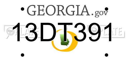 13DT391 Georgia License Plate